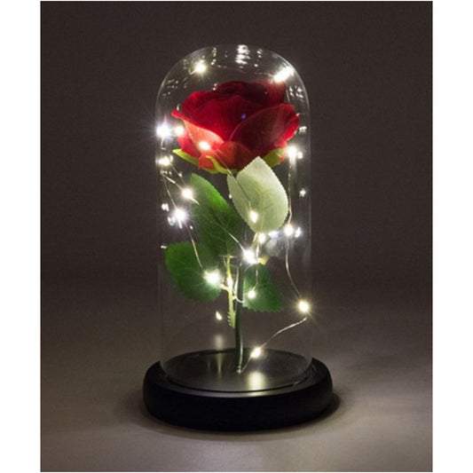 Ewige Rose im Glas mit Licht Rose Geschenke für Frauen