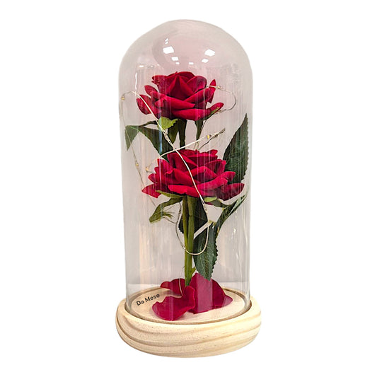 Ewige Rose 2er im Glas mit RGB licht Rose Geschenke für Frauen