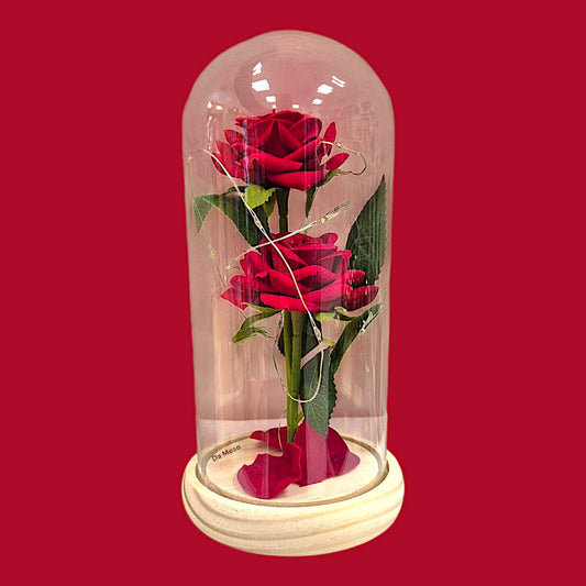 Ewige Rose 2er im Glas mit RGB licht Rose Geschenke für Frauen