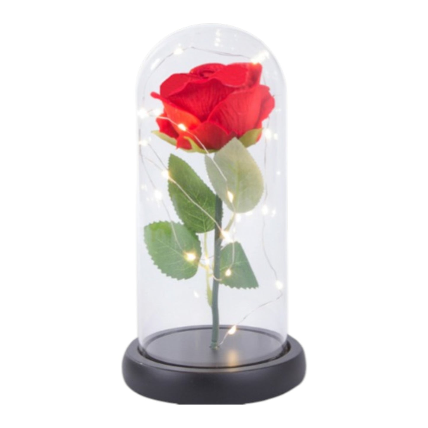 Ewige Rose im Glas mit Licht Rose Geschenke für Frauen