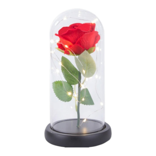 Ewige Rose im Glas mit Licht Rose Geschenke für Frauen