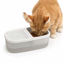 Katzenbrunnen mit Futternapf 2-in-1 – Automatische USB-Tränke für Katzen & Hunde