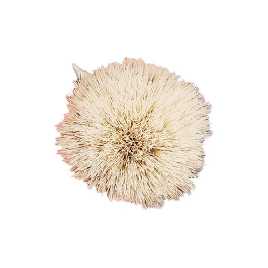 Rasierpinsel mit Holzgriff 9 cm