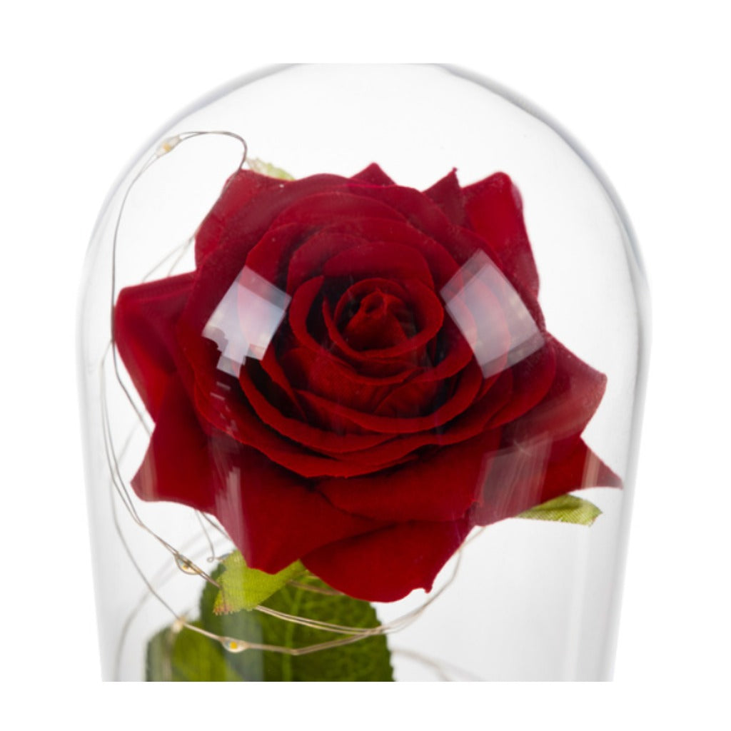 Ruhhy Ewige Rose im Glas mit warmweißer LED-Beleuchtung unter Glaskuppel in schwarzer Geschenkbox – Bild 5