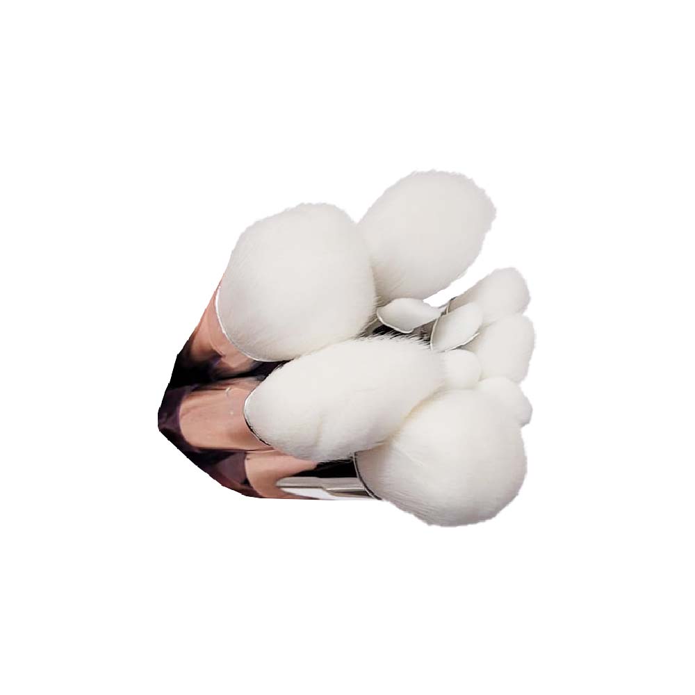 10x Make-up Pinsel Set