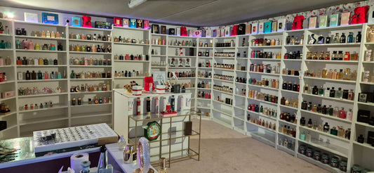 da-meso-showroom-wetzlar-giessen