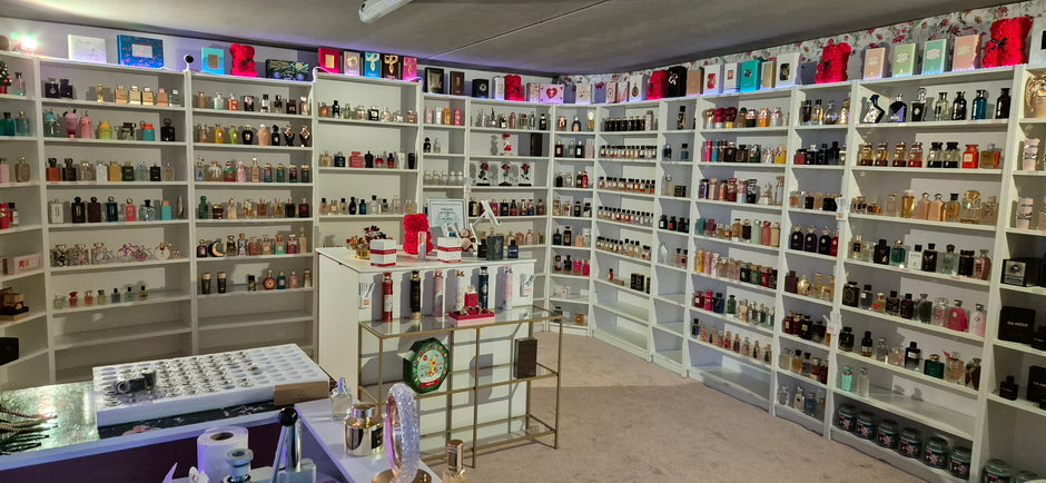 da-meso-showroom-wetzlar-giessen