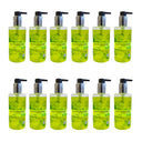 Abbott & Broome Hand Wash, Handseife, Handwaschgel mit Tigergras & Ginkgo 12x300ml