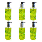 Abbott & Broome Hand Wash - Hand Seife mit Tigergras & Ginkgo