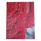 Roland Germany 5D Bettwäsche Set 200x220 Bettdeckenbezug Rose Design