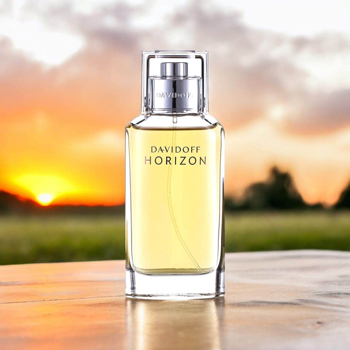 Davidoff Horizon Extreme Eau de Toilette 75ml