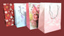 Geschenktüte bei Da Meso 1 Stück 28x17x10cm