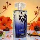 JFenzi Ardagio Decor Women Eau de Parfum 100 ml