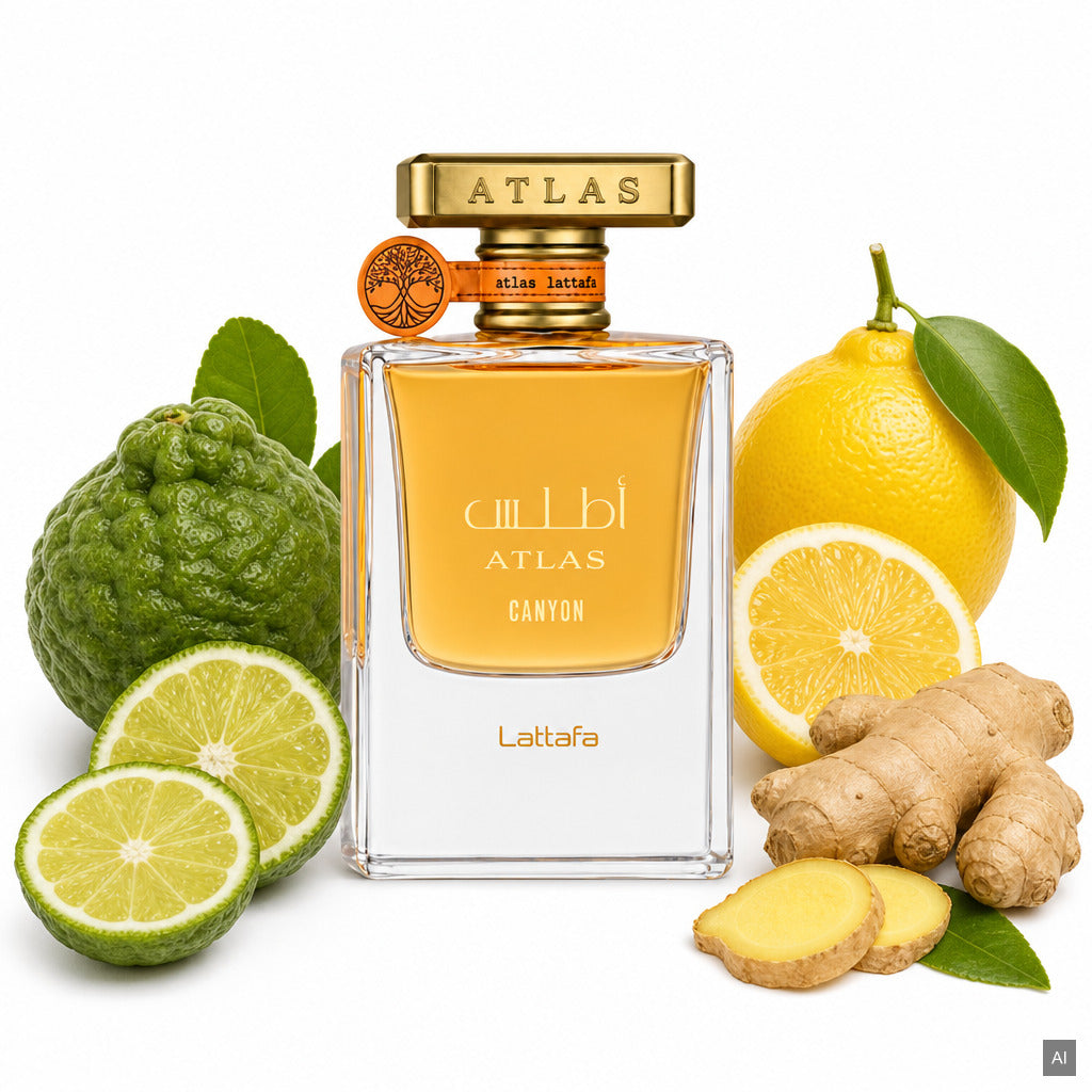 Lattafa Atlas Canyon Eau de Parfum 55 ml – frischer Unisex-Duft mit Bergamotte, Ingwer, maritimen Noten und Ambroxan – Duftno