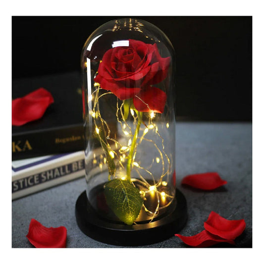 Ewige Rose im Glas mit Licht Rose Geschenke für Frauen