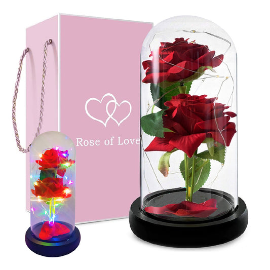 Ewige Rose im Glas mit Licht, Rose Geschenke für jeden Anlass für Frauen