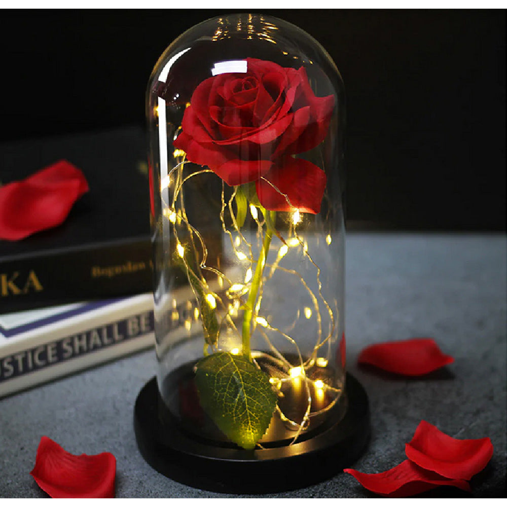Ewige Rose im Glas mit Licht – Geschenk für Frauen – Da Meso