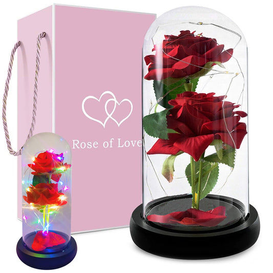 Ewige Rose 2er im Glas mit RGB licht Rose Geschenke für Frauen