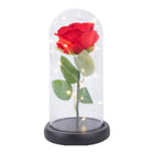 Ewige Rose im Glas mit Licht Rose Geschenke für Frauen