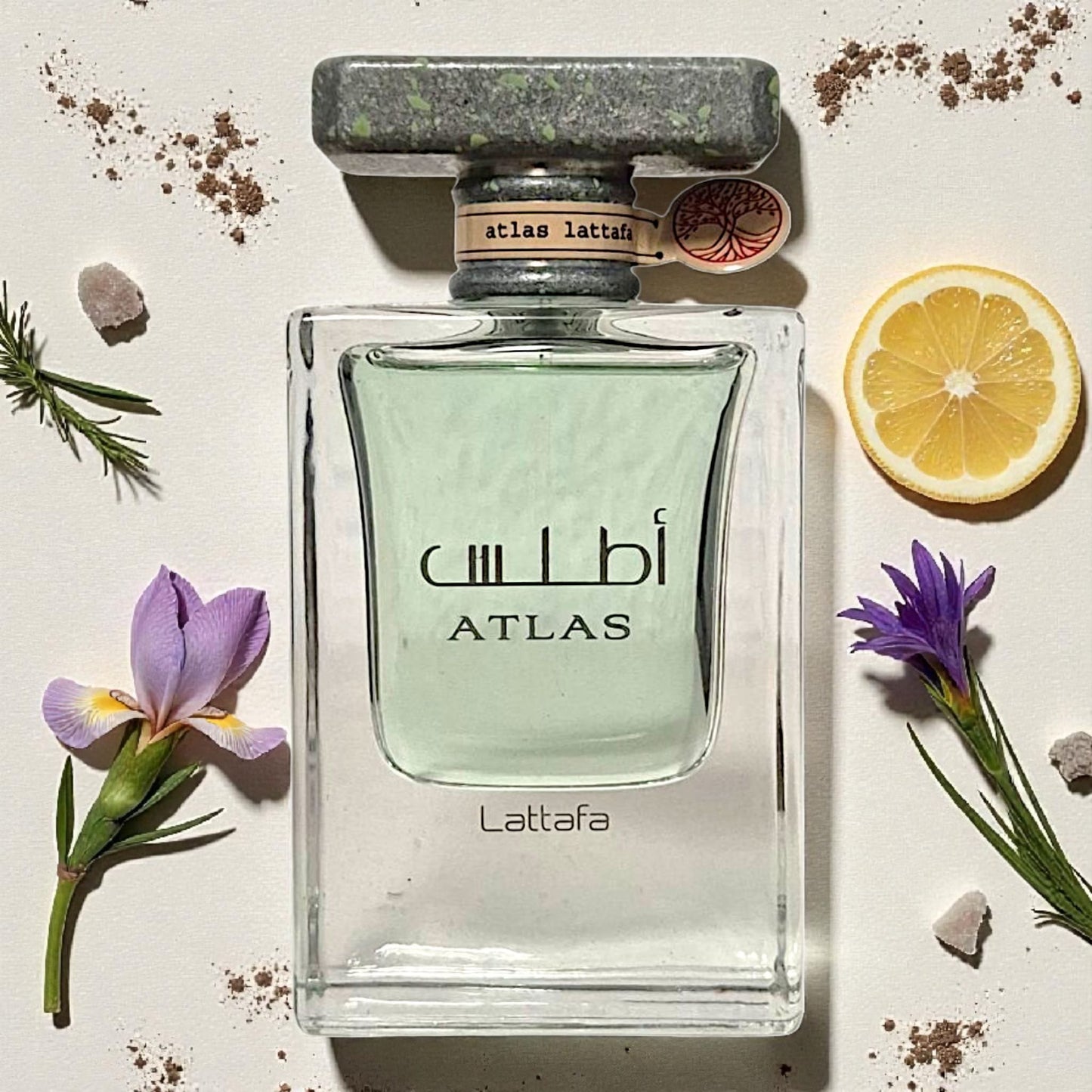 Lattafa ATLAS Eau de Parfum 55ml Aquatisch, frisch, holzig – Da Meso