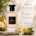Riiffs CELESTO Intense Eau de Parfum 100 ml