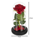 Ruhhy Ewige Rose im Glas mit warmweißer LED-Beleuchtung unter Glaskuppel in schwarzer Geschenkbox – Bild 2