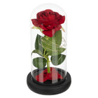 Ruhhy Ewige Rose im Glas mit warmweißer LED-Beleuchtung unter Glaskuppel in schwarzer Geschenkbox – Bild 4