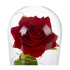 Ruhhy Ewige Rose im Glas mit warmweißer LED-Beleuchtung unter Glaskuppel in schwarzer Geschenkbox – Bild 5