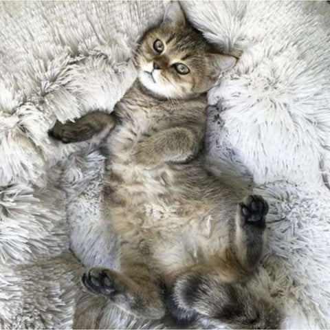 Purlov Hundebett rund 60 cm grau – flauschiges Kuschelbett mit erhöhtem Rand für Hunde und Katzen